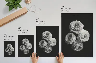 Hållbar väggposter svartvitt motiv av rosor i minimalistisk stil