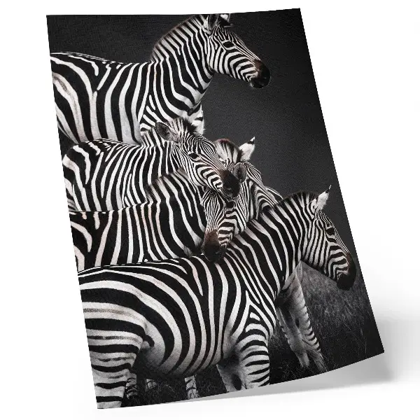 Hållbar väggposter med zebra-mönster i kontrasterande svarta och vita vertikala linjer