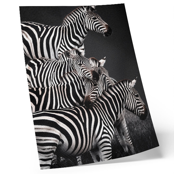 Hållbar väggposter Zebra kontrasterande svarta och vita vertikala linjer