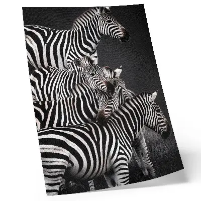 Hållbar väggposter med zebra-mönster i kontrasterande svarta och vita vertikala linjer