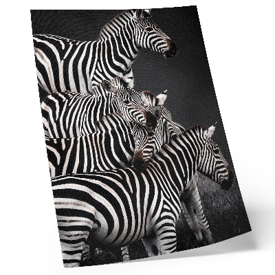 Hållbar väggposter Zebra kontrasterande svarta och vita vertikala linjer