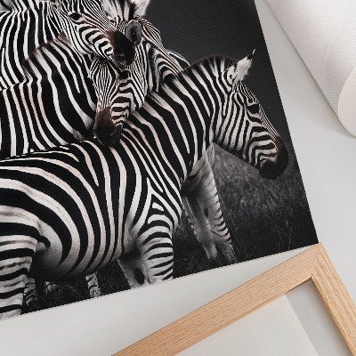 Hållbar väggposter Zebra kontrasterande svarta och vita vertikala linjer
