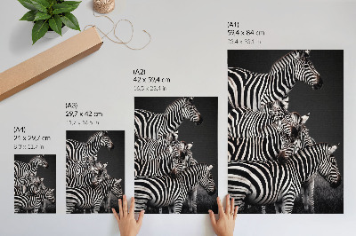 Hållbar väggposter Zebra kontrasterande svarta och vita vertikala linjer