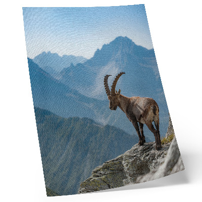 Poster Stenbocken mot bakgrund av berg, fredlig harmoni i naturen
