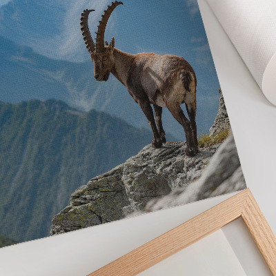 Poster Stenbocken mot bakgrund av berg, fredlig harmoni i naturen