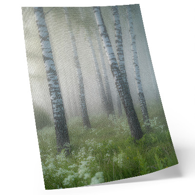 Poster Björkar i dimman, vit bark, grönt gräs