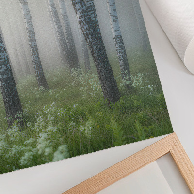 Poster Björkar i dimman, vit bark, grönt gräs