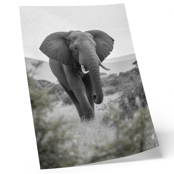 Hållbar väggposter En stor elefant mot en naturlig bakgrund