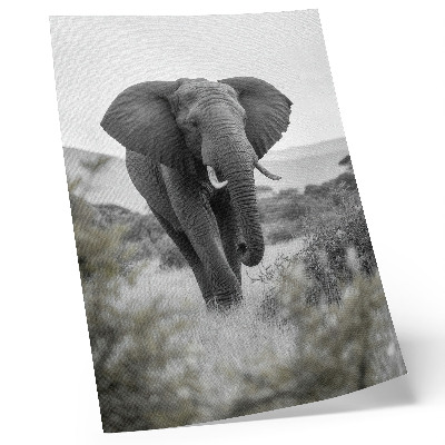 Hållbar väggposter En stor elefant mot en naturlig bakgrund