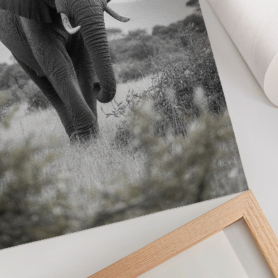 Hållbar väggposter En stor elefant mot en naturlig bakgrund