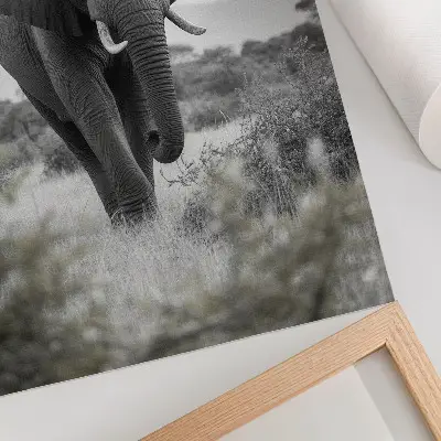 Väggposter stor elefant mot en naturlig bakgrund