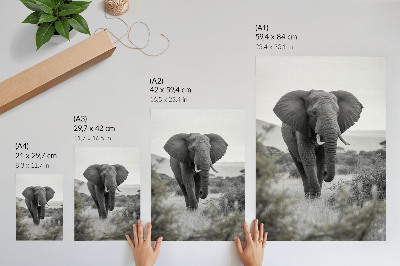 Hållbar väggposter En stor elefant mot en naturlig bakgrund