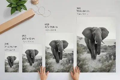 Väggposter stor elefant mot en naturlig bakgrund