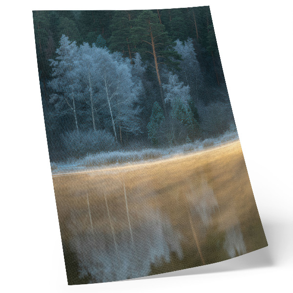 Poster En tyst skog över vattenytan, en mystisk aura