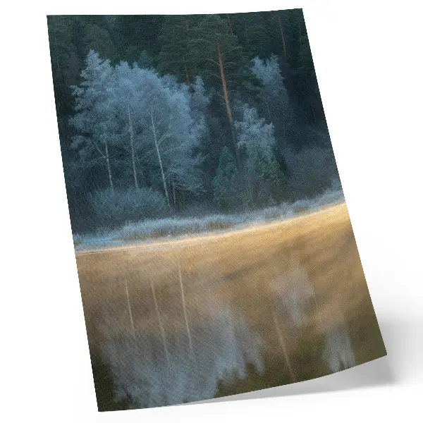 Poster en tyst skog över vattenytan med mystisk aura