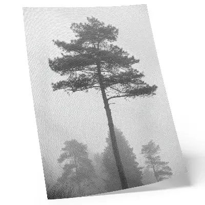 Poster svartvitt motiv av träd i dimma