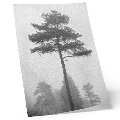 Poster Svartvitt träd i dimmans unika tystnad