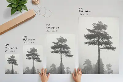 Poster svartvitt motiv av träd i dimma