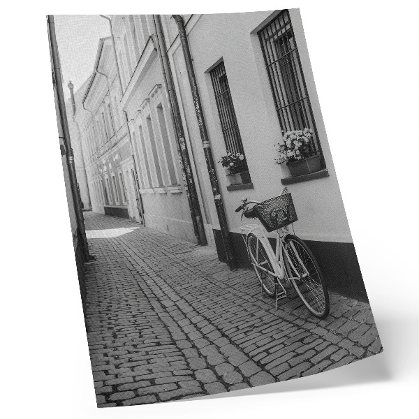 Poster Gata, hyreshus, blommor, cykel, svartvitt
