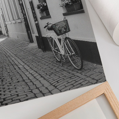 Poster Gata, hyreshus, blommor, cykel, svartvitt