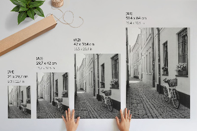 Poster Gata, hyreshus, blommor, cykel, svartvitt
