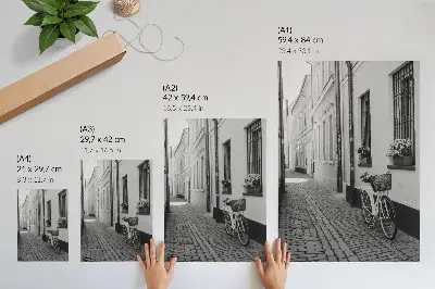 Poster svartvitt motiv av gata med hyreshus, blommor och cykel