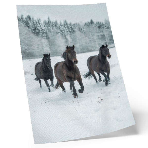 Hållbar väggposter Svarta hästar i rörelse mot en snöig bakgrund