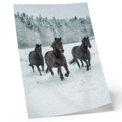 Hållbar väggposter Svarta hästar i rörelse mot en snöig bakgrund