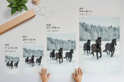 Hållbar väggposter Svarta hästar i rörelse mot en snöig bakgrund