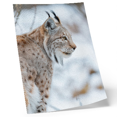 Dekorativ väggaffisch Rysy i vinter vacker natur naturliga färger harmoni