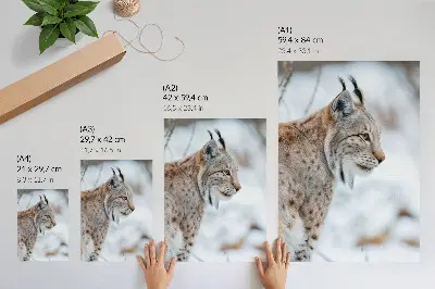 Dekorativ väggaffisch med motiv av natur i vinterlandskap med harmoniska färger