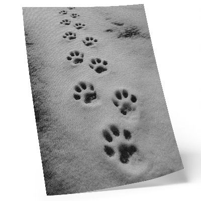 Hållbar väggposter Tassavtryck i vit snö en antydan till mystik
