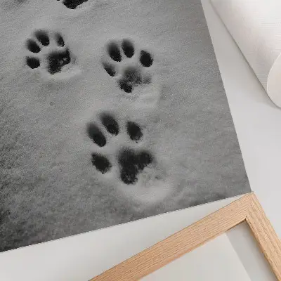 Hållbar väggposter tassavtryck i vit snö med en antydan till mystik