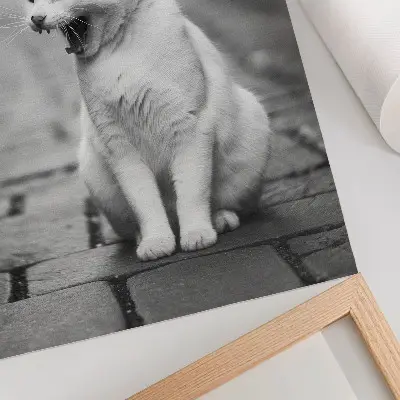 Poster bedårande katt på en kullerstensgata i svartvitt