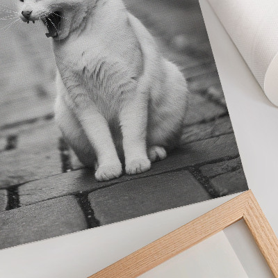 Poster Bedårande katt på en kullerstensgata med svartvit estetik
