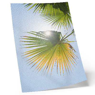 Poster Palmblad blå bakgrund solljus