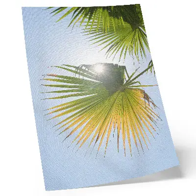 Poster palmblad med blå bakgrund och solljus