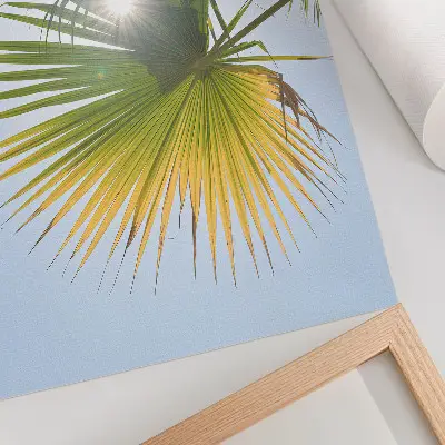 Poster palmblad med blå bakgrund och solljus