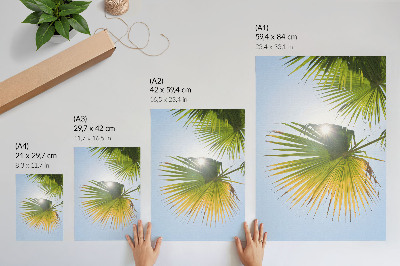 Poster Palmblad blå bakgrund solljus