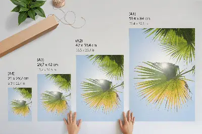 Poster palmblad med blå bakgrund och solljus