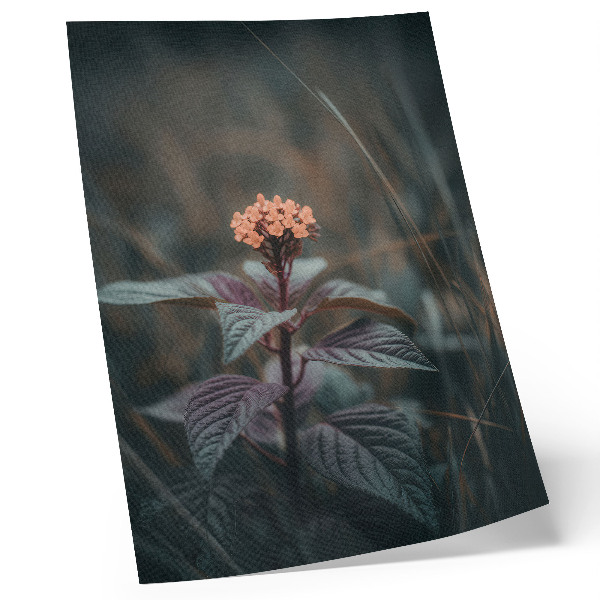 Poster En växt med en färgglad blomma mot en grön bakgrund