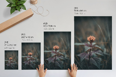 Poster En växt med en färgglad blomma mot en grön bakgrund