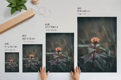 Poster växt med färgglad blomma mot grön bakgrund