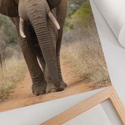 Dekorativ väggaffisch Elefant på en stig i ett afrikanskt landskap