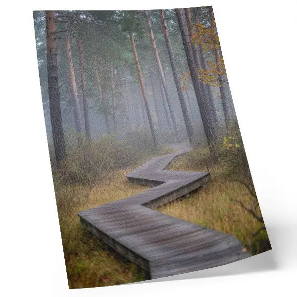 Hållbar väggposter en trästig genom dimmig skog