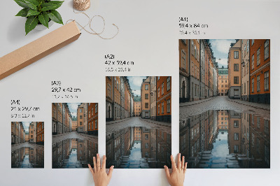 Poster Historiska hyreshus med pool i modern stil