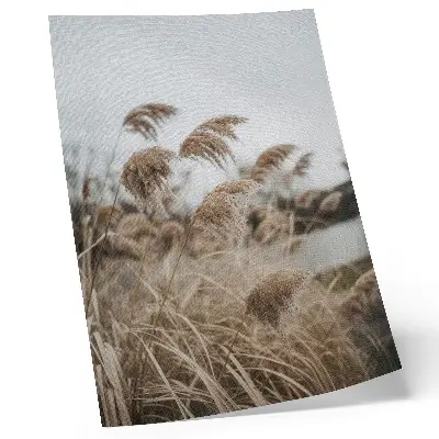 Poster fina grässtrån i en brun och grå naturatmosfär