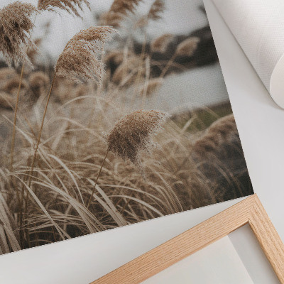 Poster Fina grässtrån brun grå atmosfär av naturen