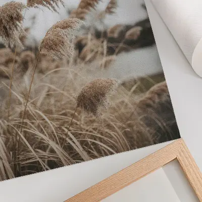 Poster fina grässtrån i en brun och grå naturatmosfär
