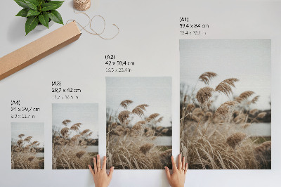 Poster Fina grässtrån brun grå atmosfär av naturen